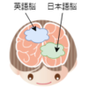 【奮闘記】5.8 英語脳の作り方